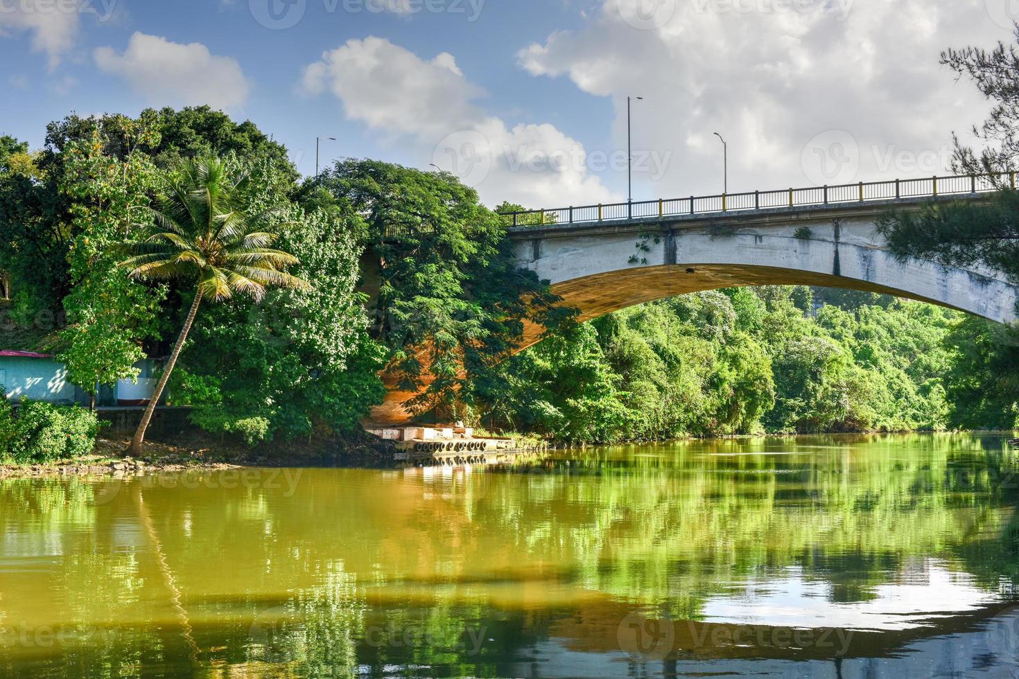 Almendares Park in the Great Metropolitan Park, also known as the forest of Havana in Cuba. photo