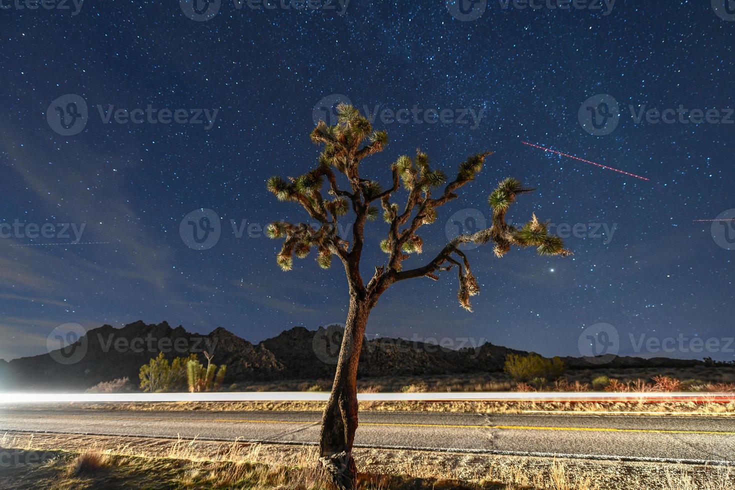 Beautiful landscape in Joshua Tree National Park in California at night. photo