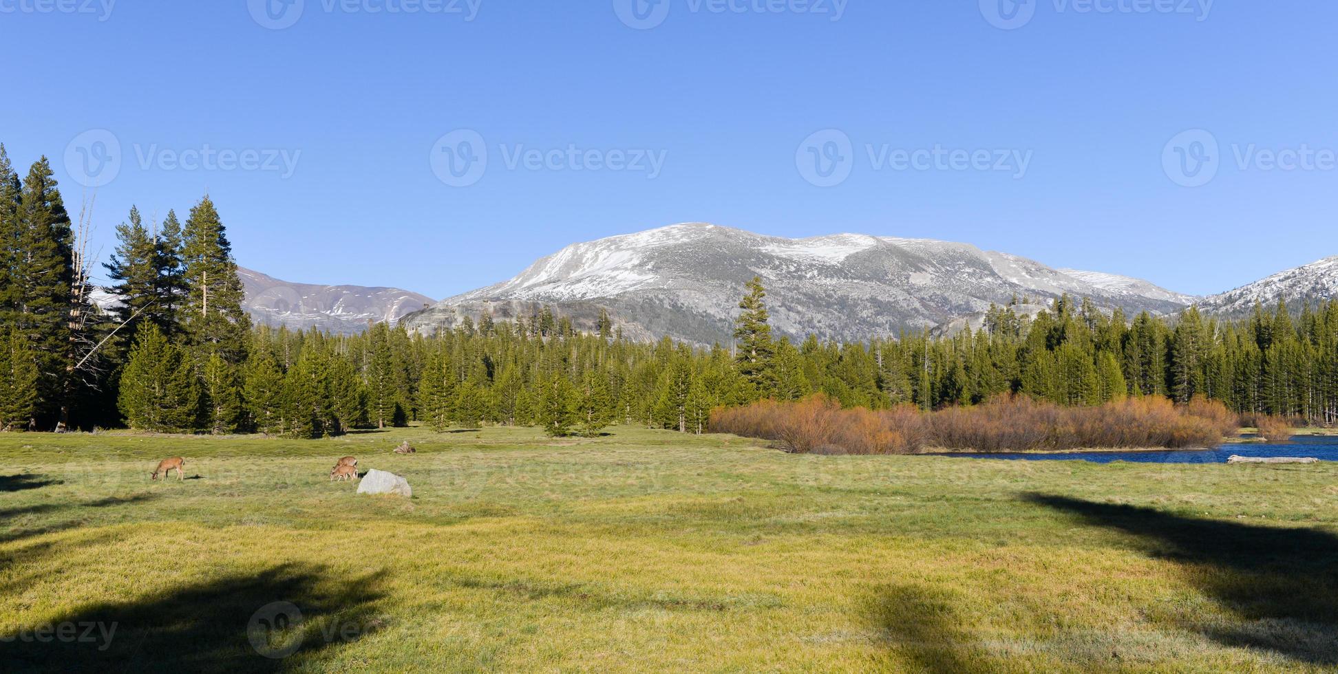 Tuolumne Meadows, Yosemite Park photo