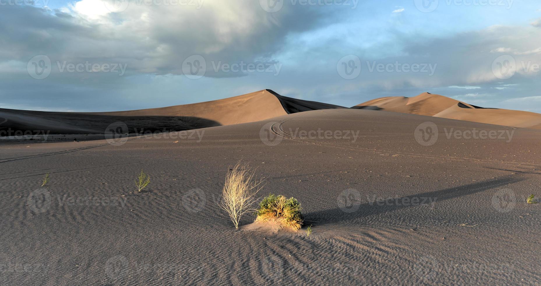 Sand Dunes along the Amargosa Desert at sunset photo