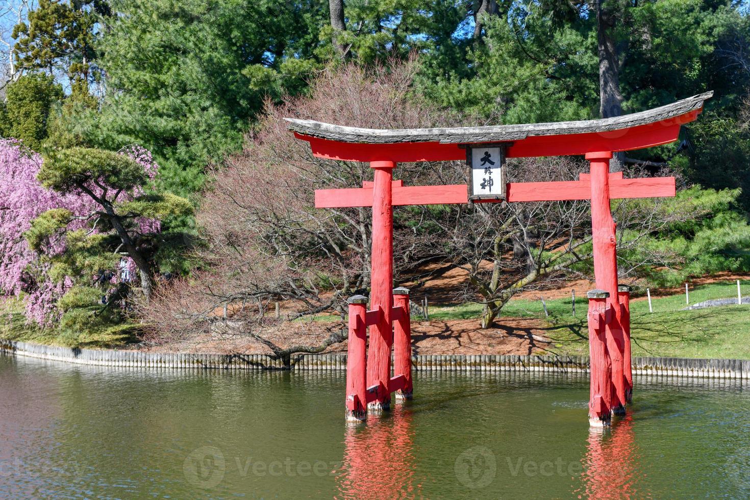 Japanese Garden in the Brooklyn Botanic Garden, New York City, U.S.A. photo