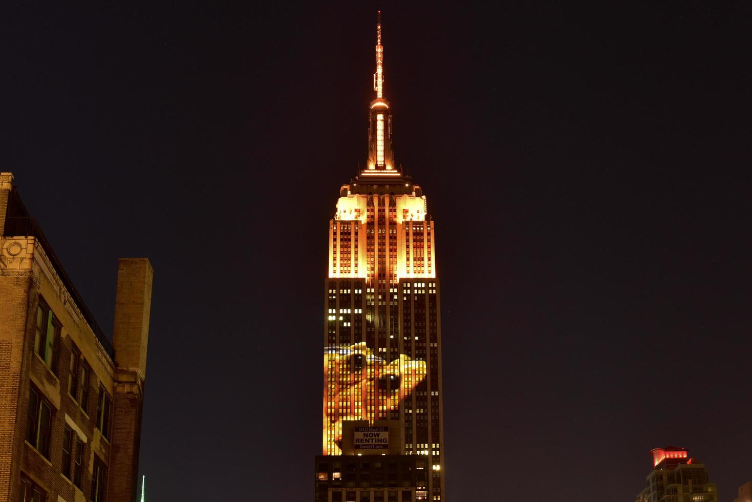 Empire State Building - Racing Extinction, New York, USA, 2020 photo