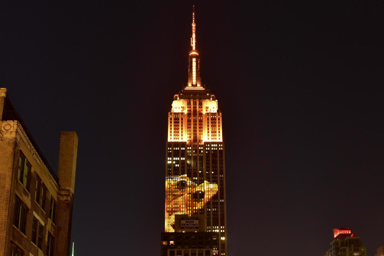 Empire State Building - Racing Extinction, New York, USA, 2020 photo