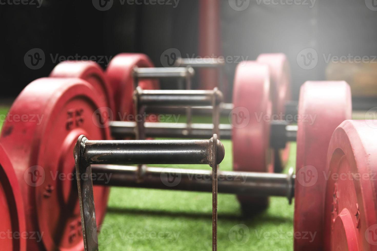 Weights for farmer's walk exercise in cross training gym photo