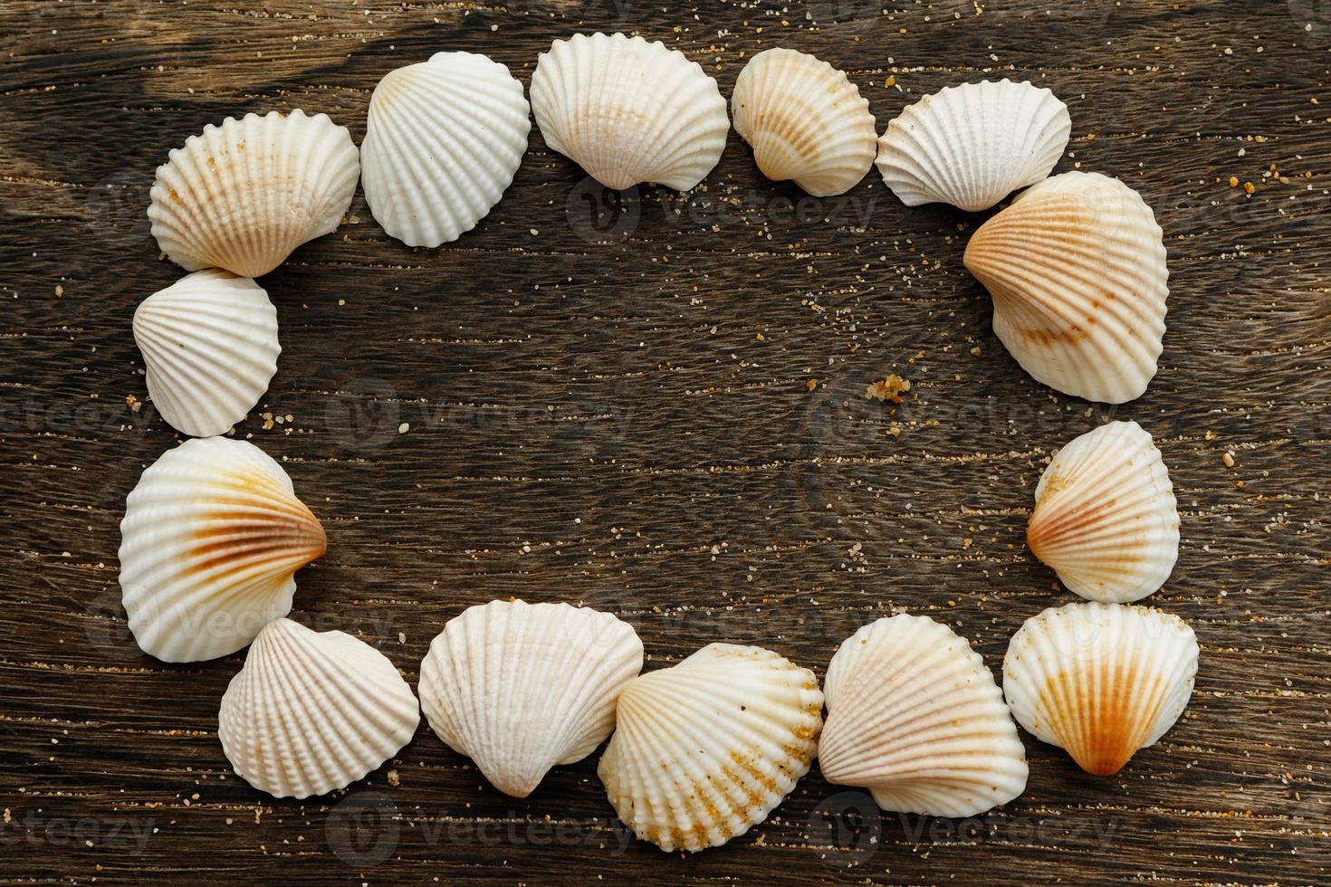 Seashells on wooden surface photo