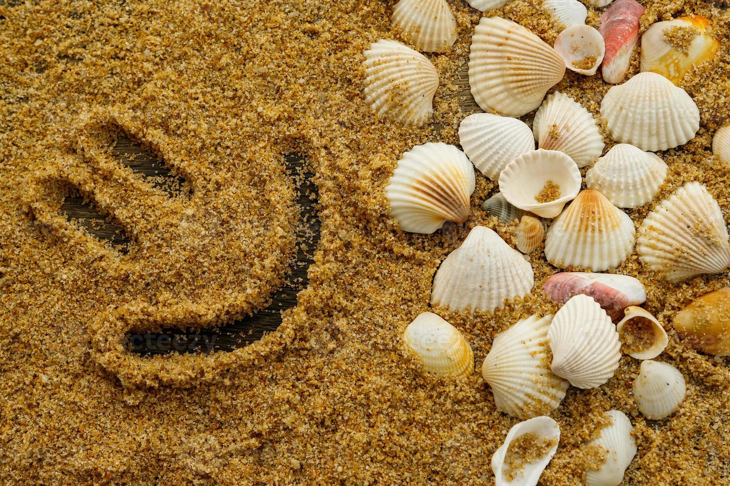 Seashells and smile photo