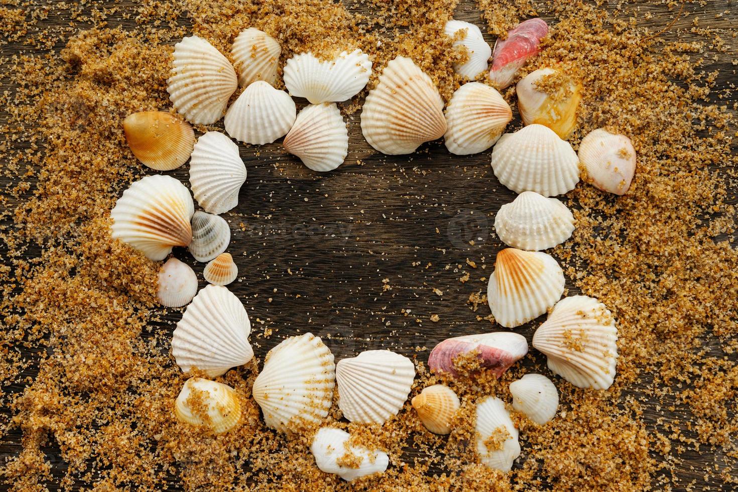 Different seashells and sand photo