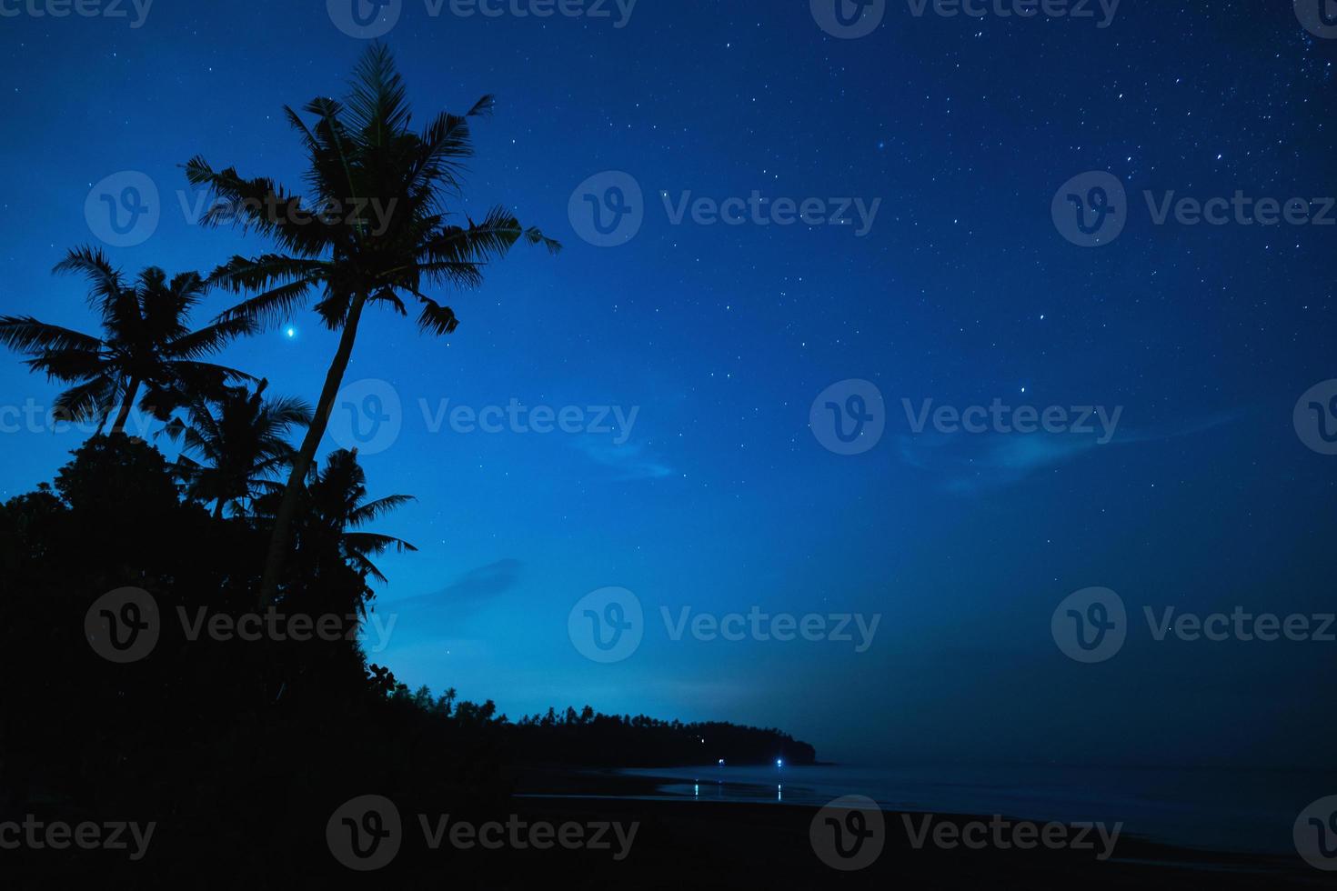 Scenic night sky with a lot of stars and palm tree photo