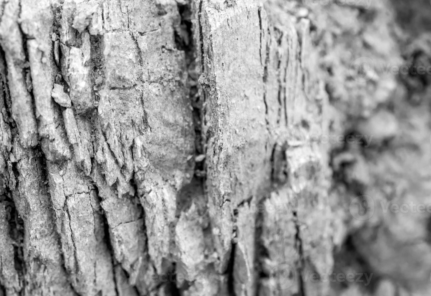 Texture of stone surface at the rocky mountain photo