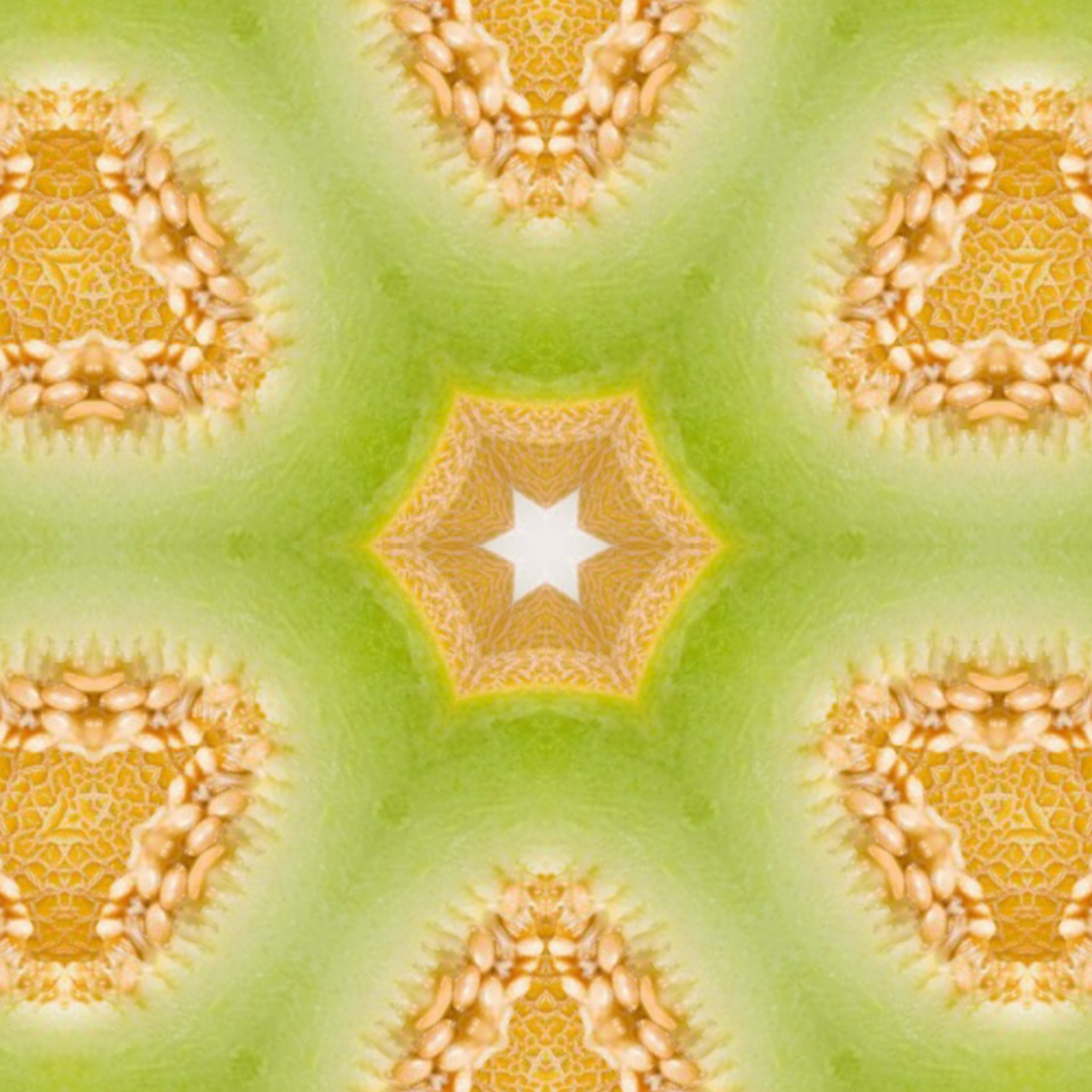 Lily Pad Pattern Stock Photos, Images and Backgrounds for Free Download