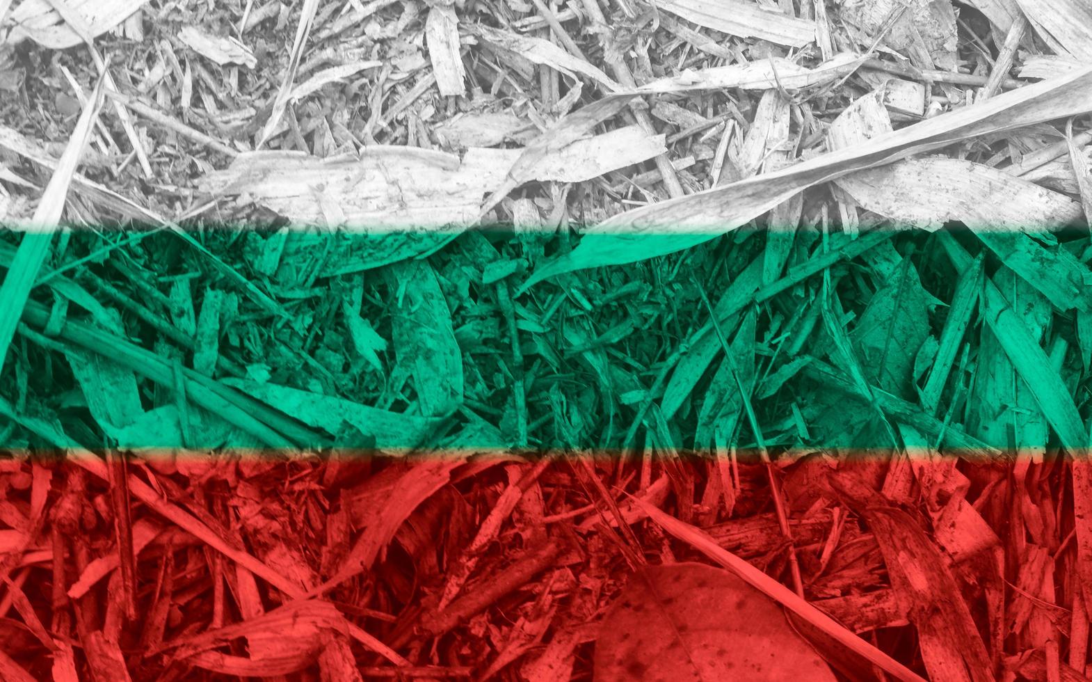 Bulgarian flag texture as a background photo