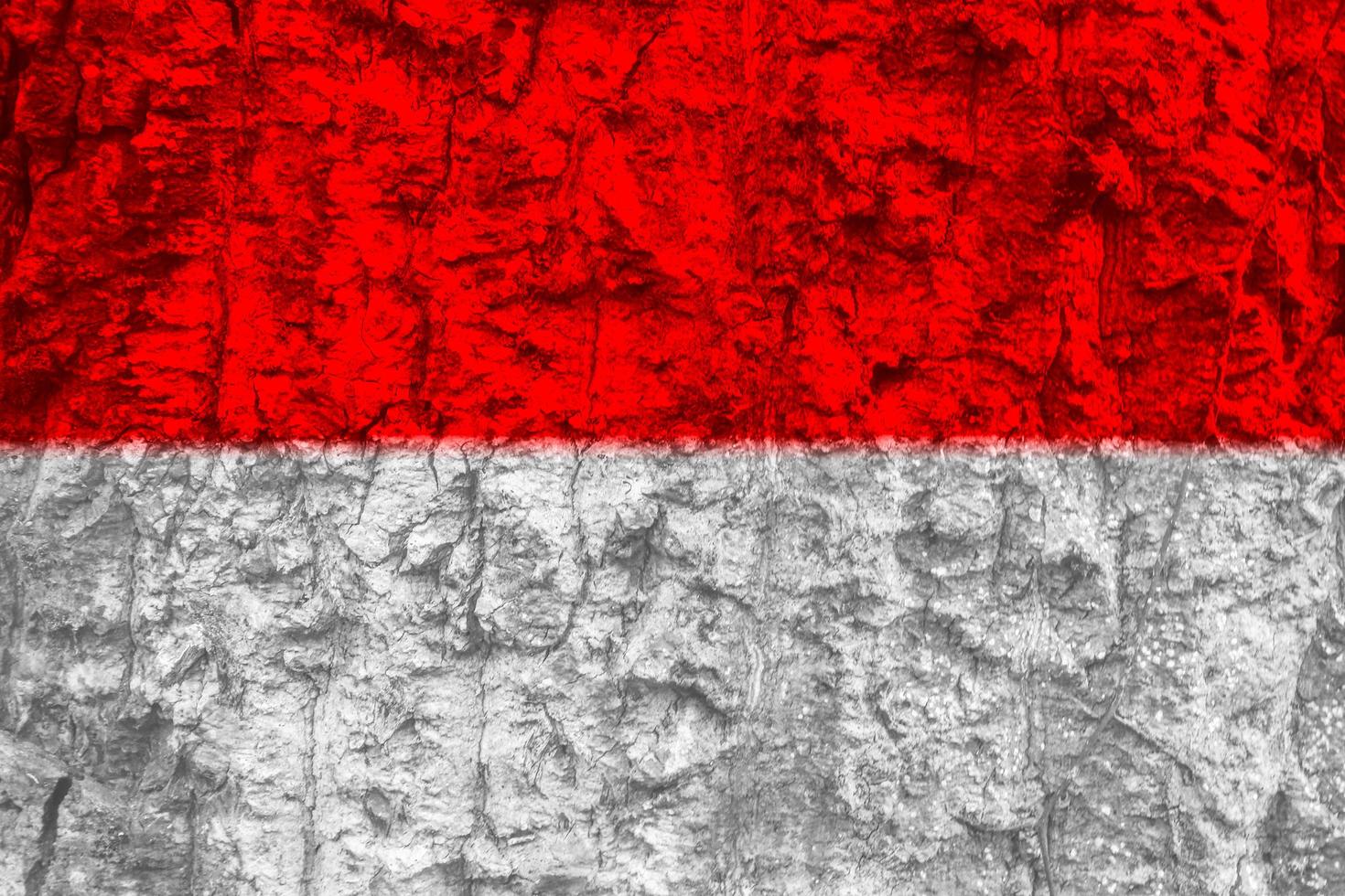 Indonesian flag texture as a background photo