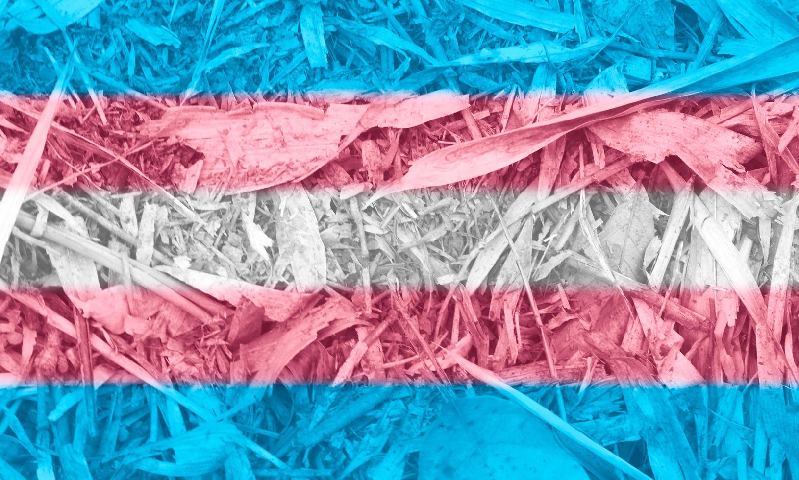 LGBT flag texture as the background photo