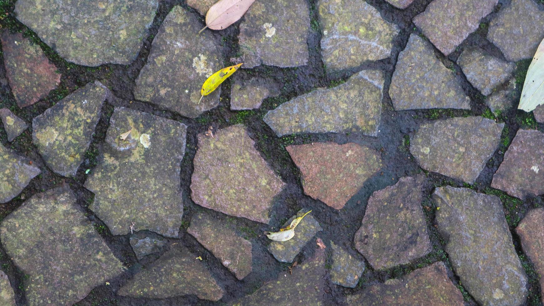 cobblestone path with fallen leaves. as background photo