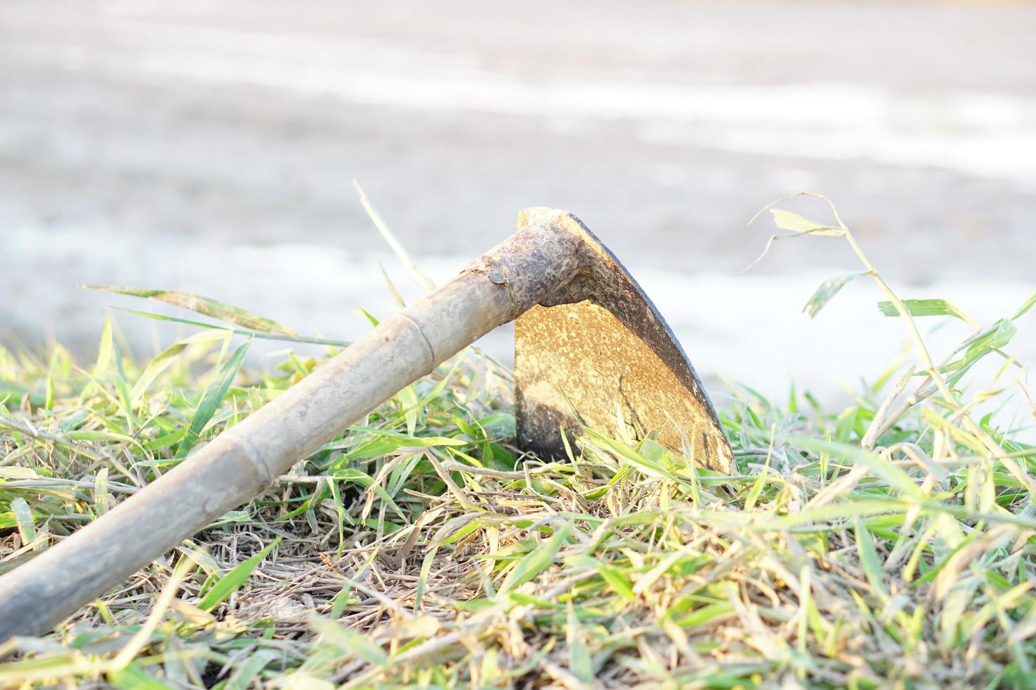 Hoe digging soil on the path in the field photo