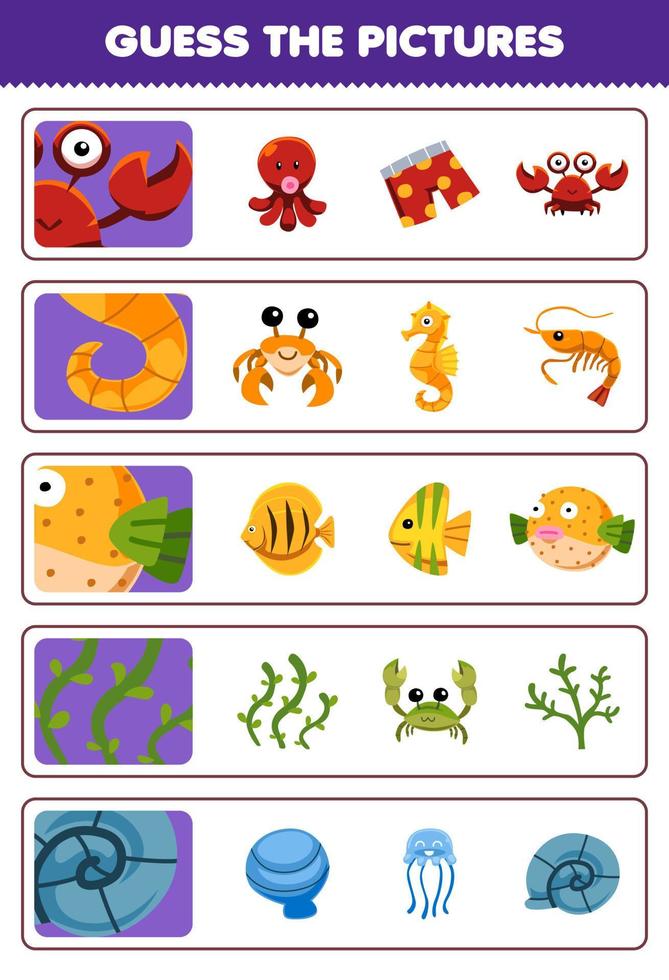Education game for children guess the correct pictures of cute cartoon crab seahorse seaweed shell printable underwater worksheet vector