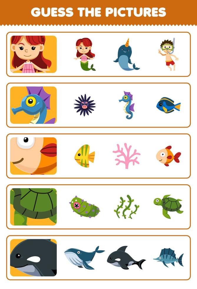 Education game for children guess the correct pictures of cute cartoon mermaid seahorse fish turtle orca printable underwater worksheet vector