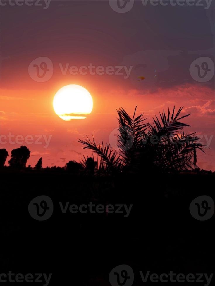 Sunset in countryside photo