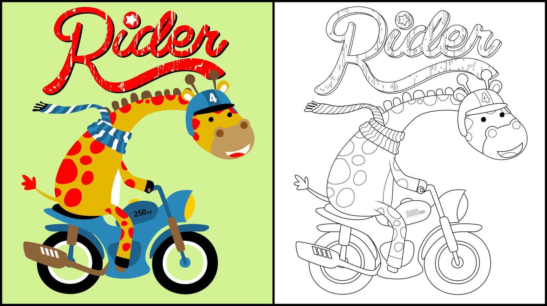 Coloring book of funny giraffe wearing helmet and scarf on motorcycle vector