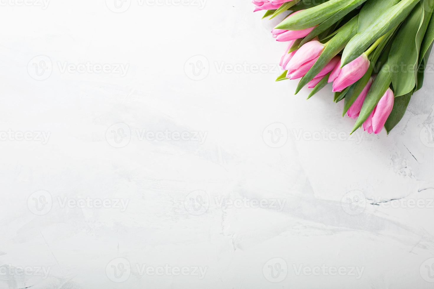 Pink tulips with copy space photo