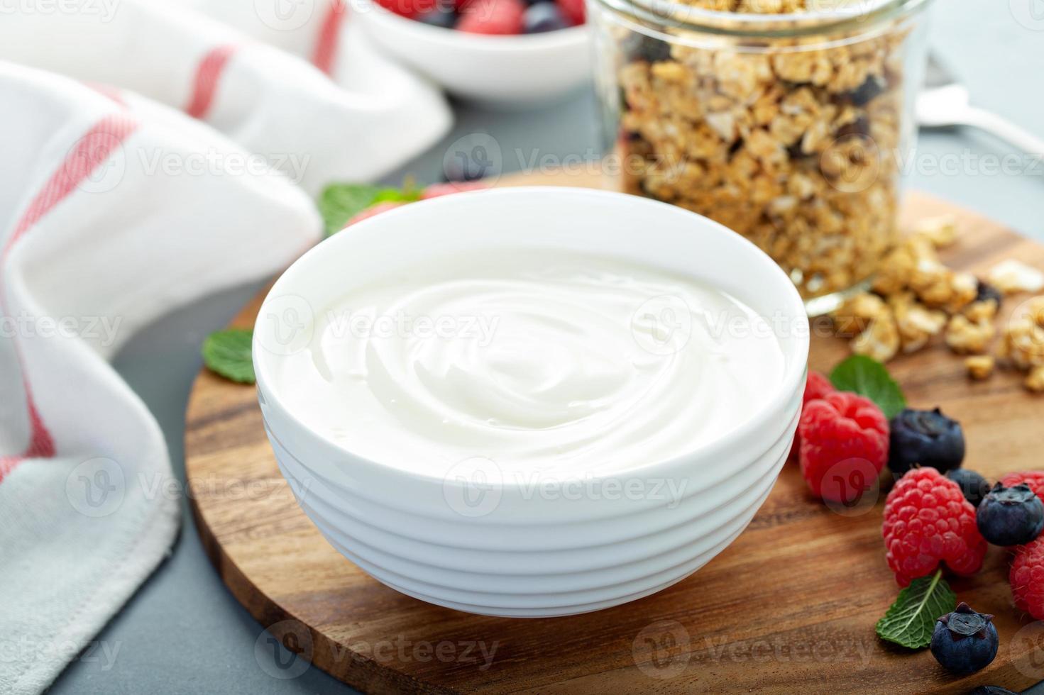 Plain yougurt with granola on side photo
