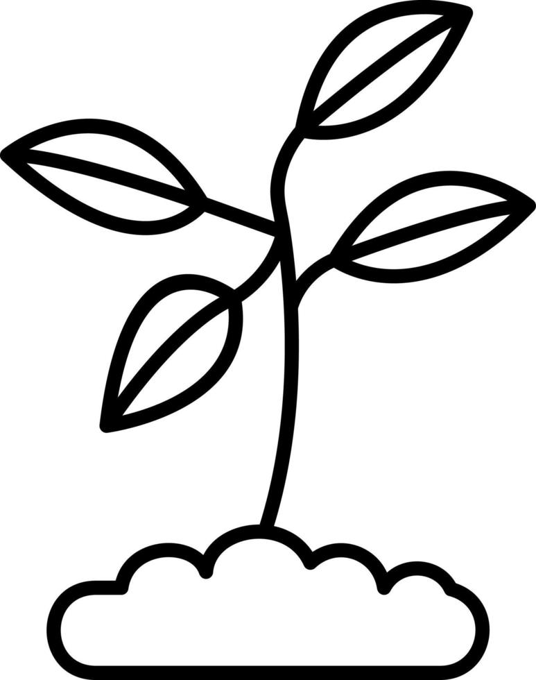 Plant Line Icon vector