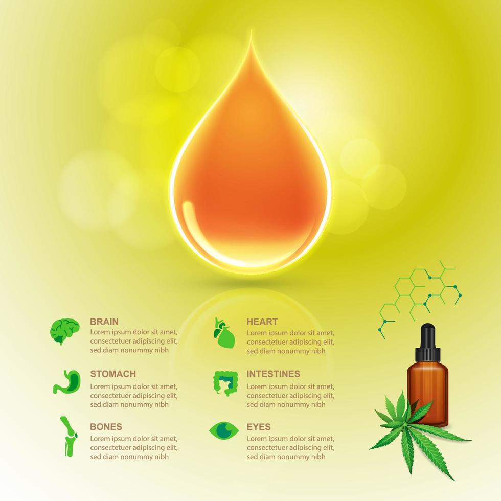 infografía de aceite de cbd vector