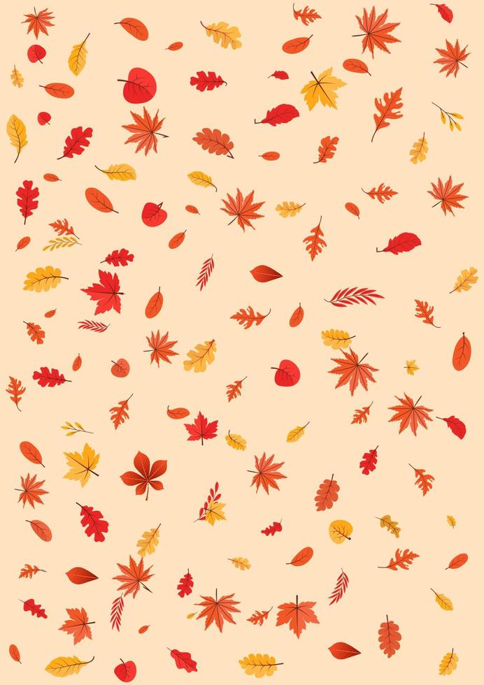 Colorful Autumn fall leaves floral background illustration with maple leaf vector