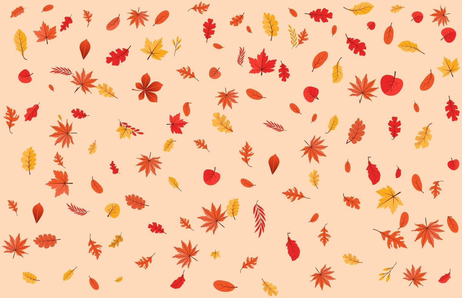 Colorful Autumn fall leaves floral background illustration with maple leaf vector