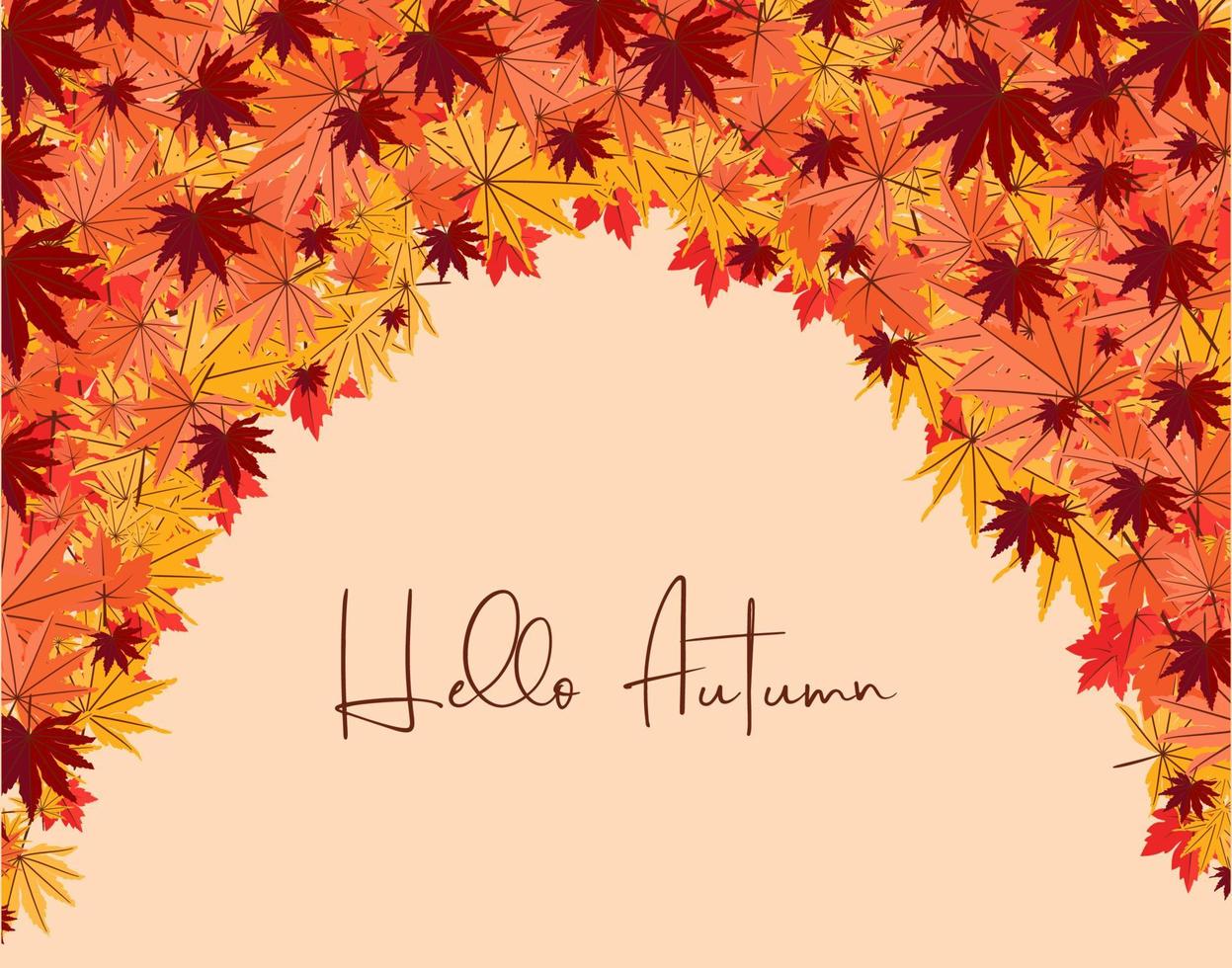Colorful Autumn fall leaves floral background illustration with maple leaf vector