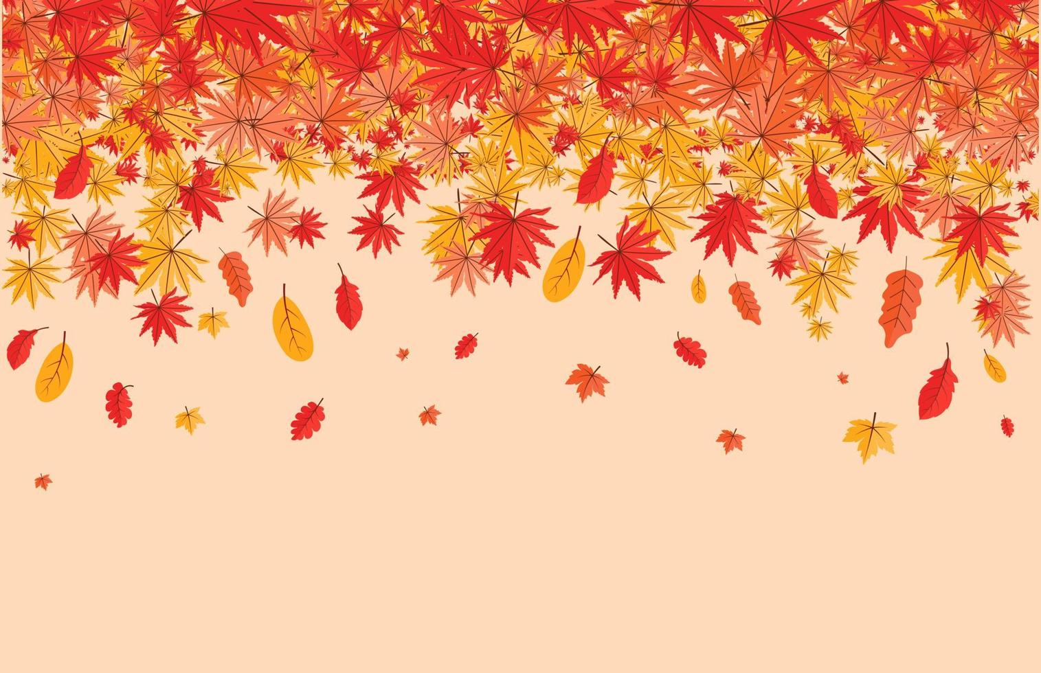 Colorful Autumn fall leaves floral background illustration with maple leaf vector