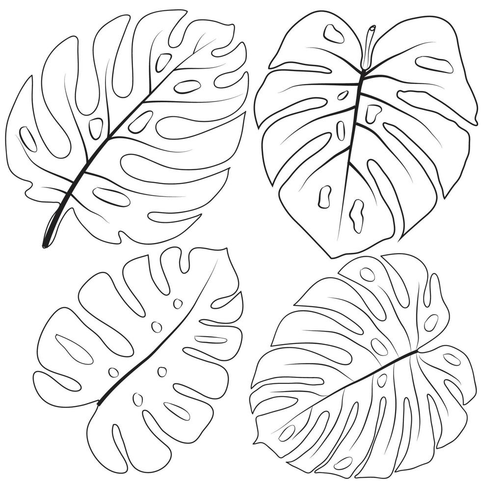 Hand drawn Rose line drawing Images illustration collectio vector