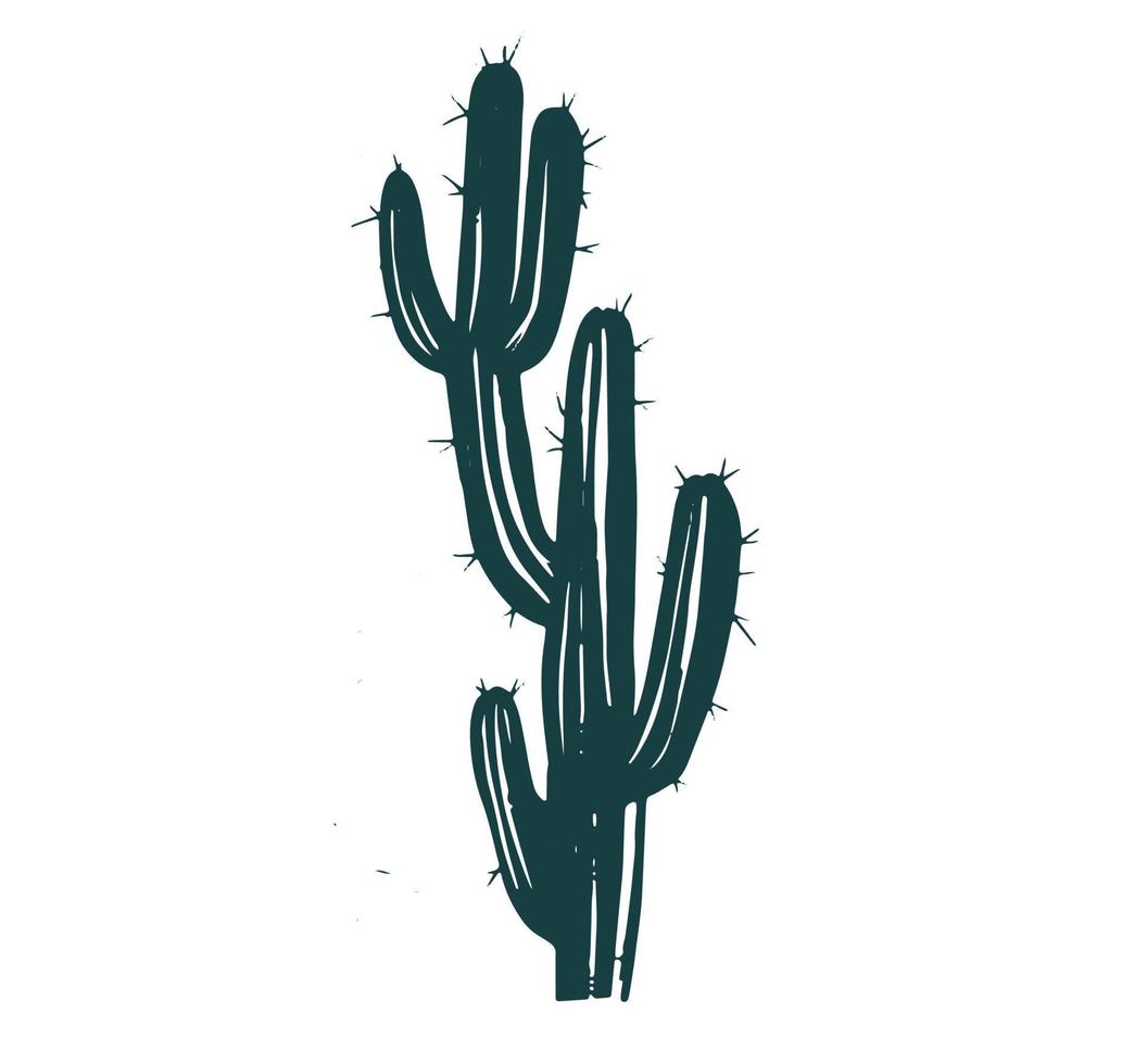 Cactus set hand drawn illustrations, vector