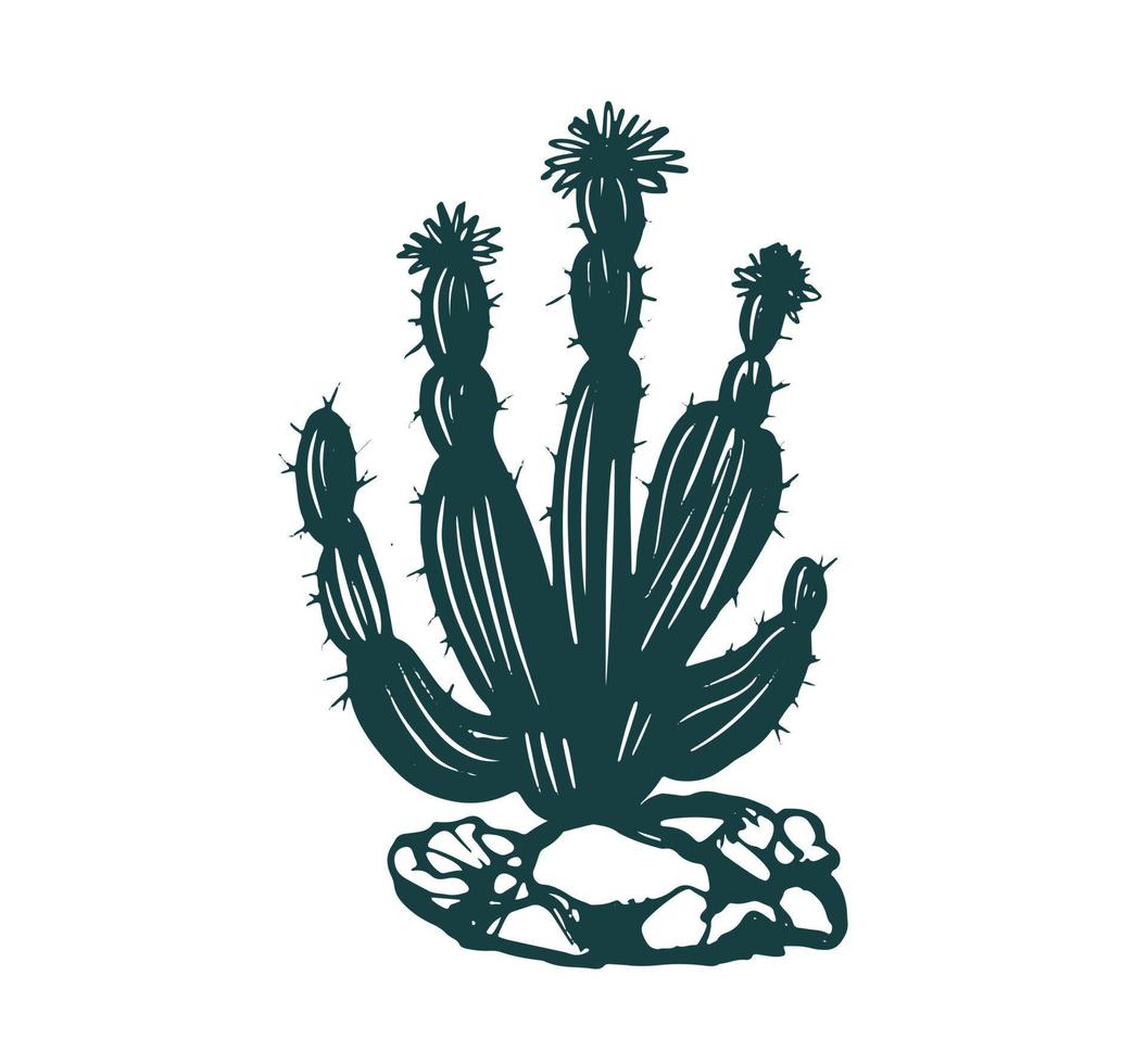 conjunto de cactus ilustraciones dibujadas a mano, vector