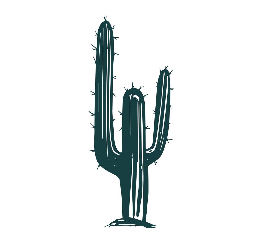 conjunto de cactus ilustraciones dibujadas a mano, vector