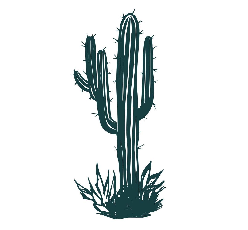 conjunto de cactus ilustraciones dibujadas a mano, vector