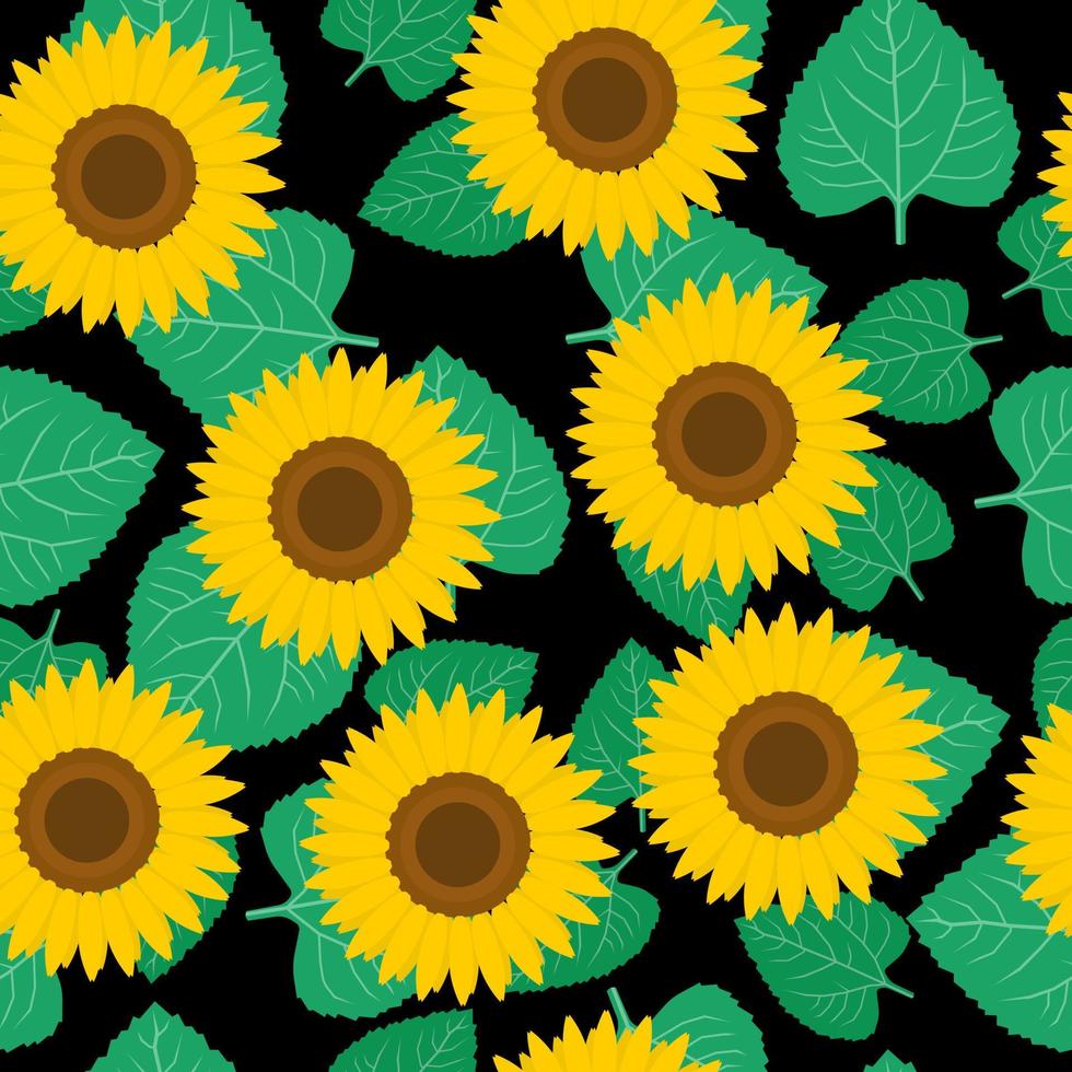 Seamless pattern of flowers and leaves of a sunflower, flowering plants with yellow petals on a black background vector