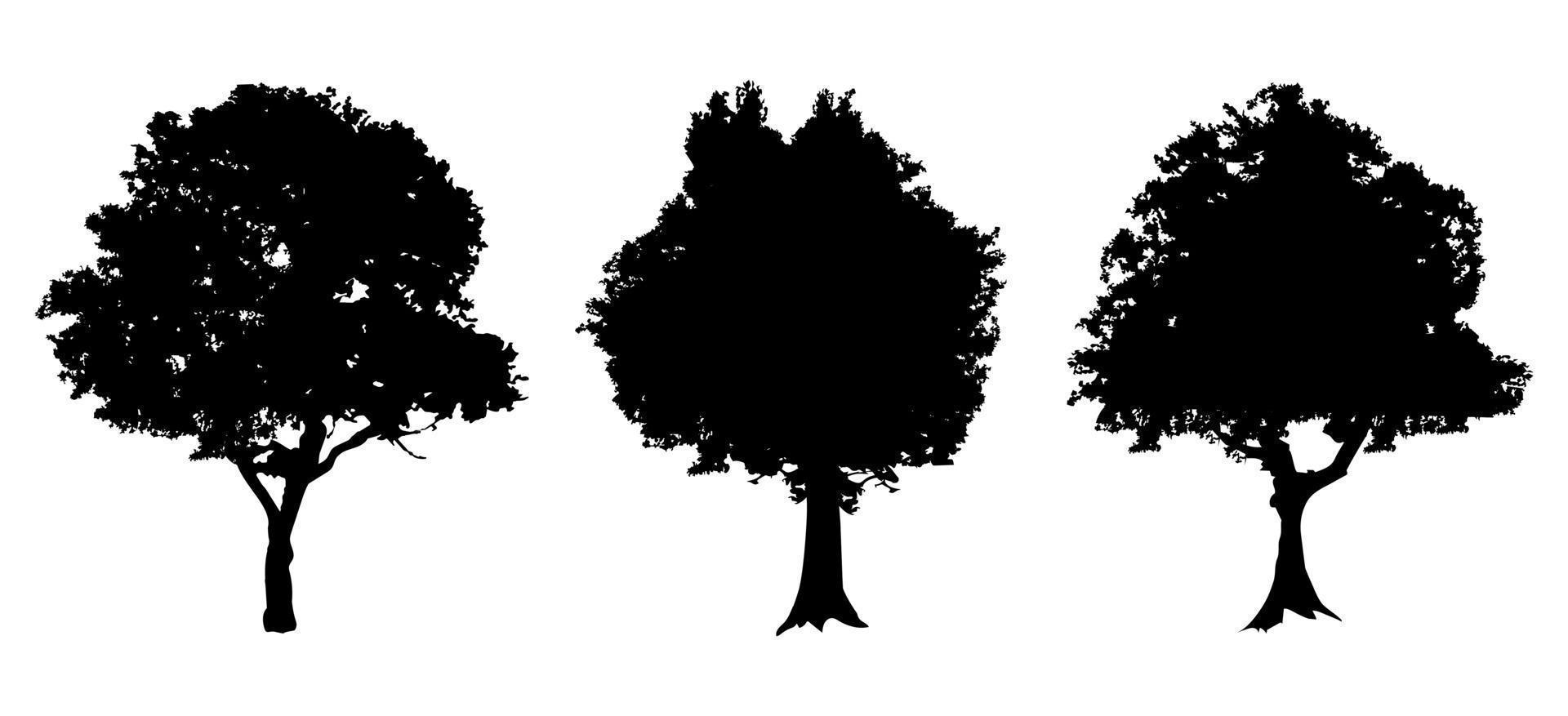 Tree silhouettes. Set of vintage black tree. vector