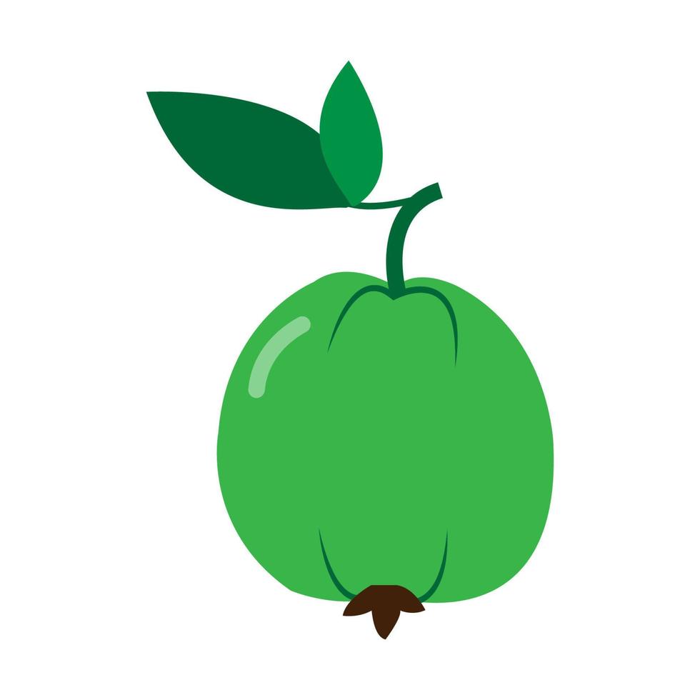 vector de ilustración de icono de guayaba