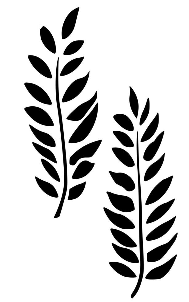 Black and white beautiful vector motifs