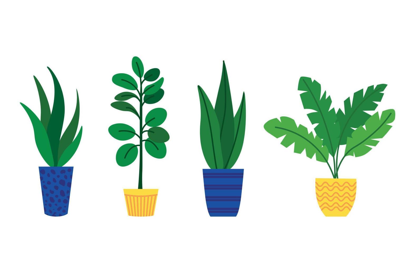 Set of indoor plants in pots in a flat style. vector