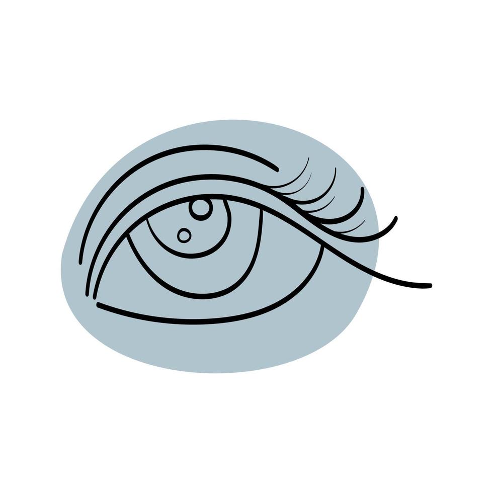 eye simple illustration in color oval vector