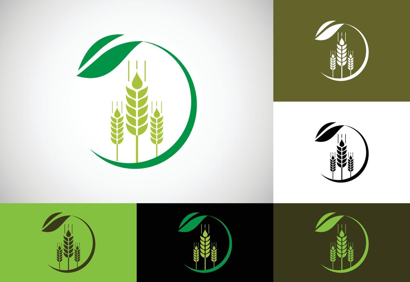 Wheat Ears Icon and Logo. For Identity Style of Natural Product Company and Farm Company. Agricultural symbols vector