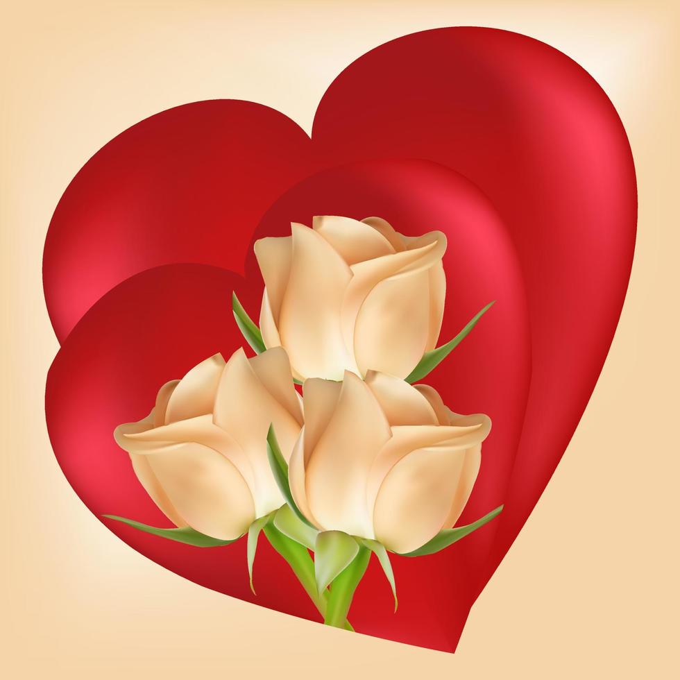 Three white roses on the background of two red hearts. Valentine's day concept. Vector image