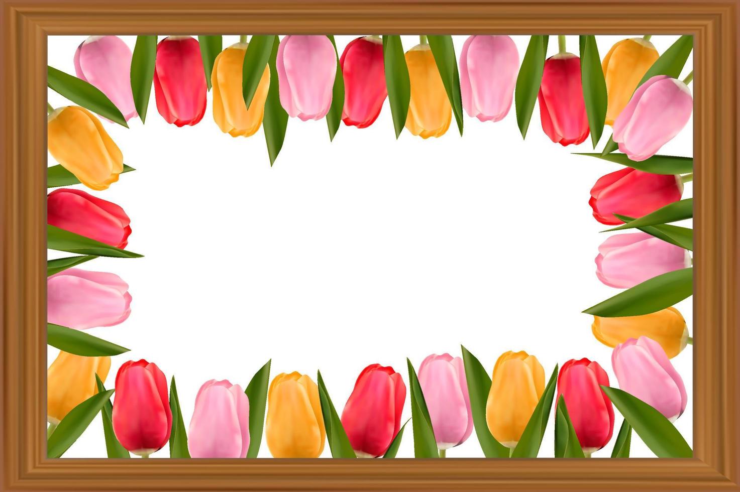 Multicolored tulips inside a wooden frame. Background for banners, posters, postcards. Concept of mother's day, valentine's day, women's day. Vector image