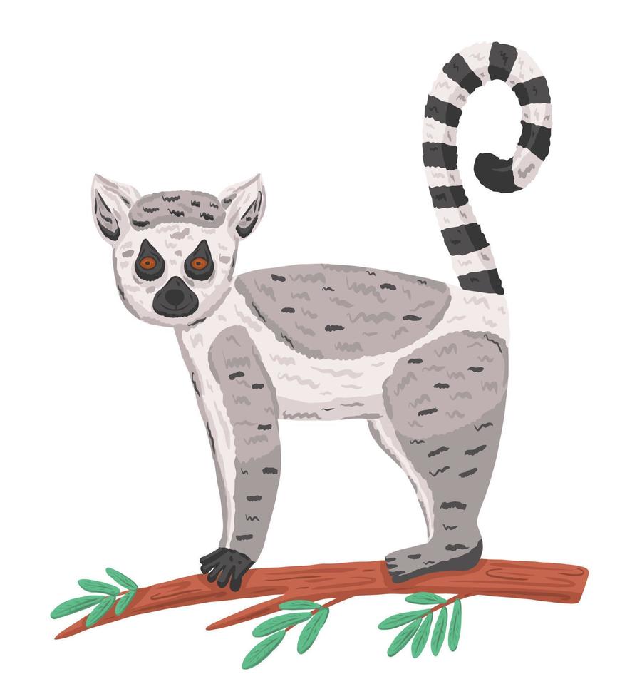 Lemur on branch in cartoon style vector