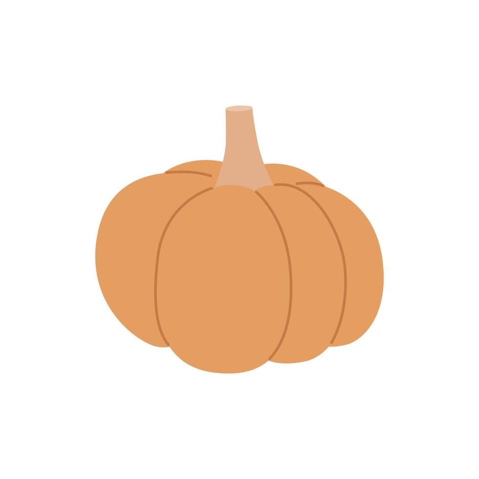 Hand drawn pumpkin isolated on white, in modern, trendy style. Vector illustration for design posters, home textiles, clothing and websites.