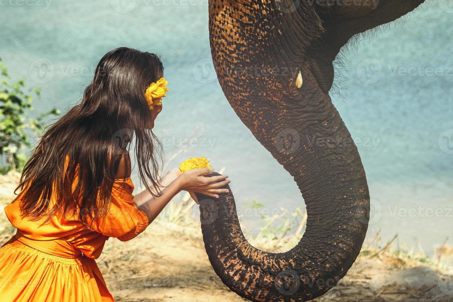 Woman in beautiful orange dress and elephant photo