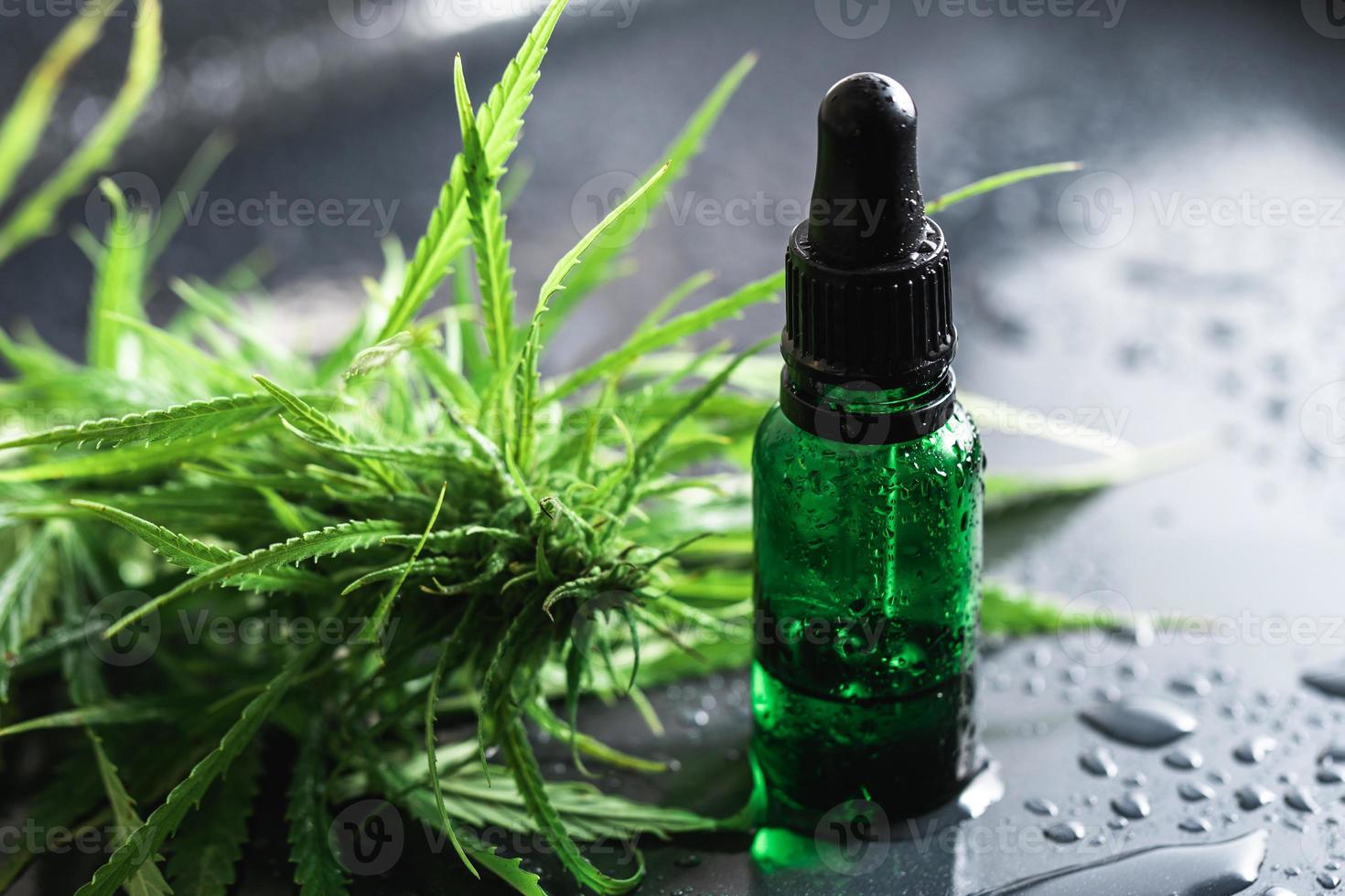 planta de cannabis y botella con aceite de cbd foto