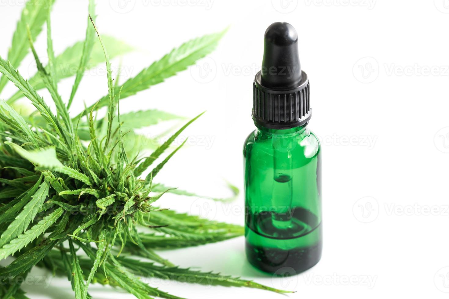 planta de cannabis y botella con aceite de cbd foto